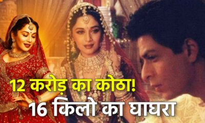 Devdas 2002 unknown facts