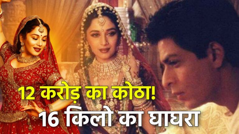 Devdas 2002 unknown facts